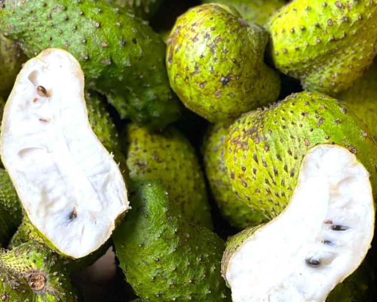 SOURSOP