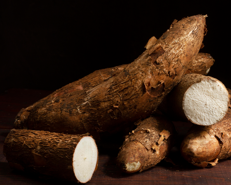 cassava